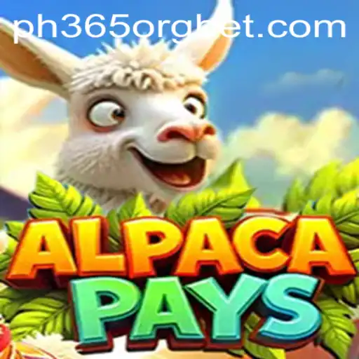 Discovering AlpacaPays: A Modern Casino Sensation